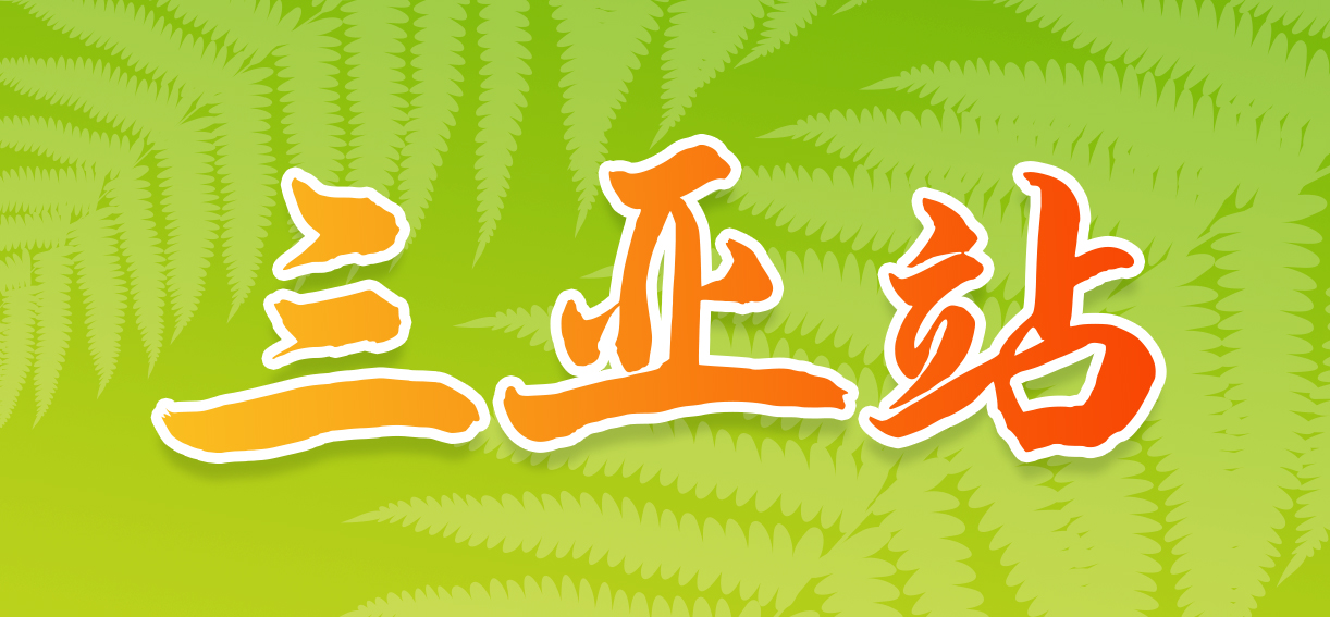 1779852471750565.jpg 三亚站.jpg