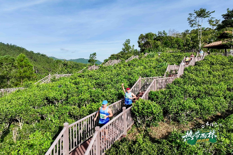 1779869207161035.jpg dji_fly_20250713_080826_0116_1752367385749_photo(1)-opq4590235376 (1).jpg